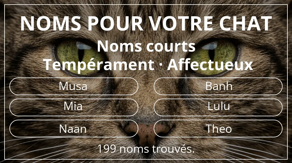 Noms félins basés sur longueur du nom court (2 à 4) et tempérament affectueux