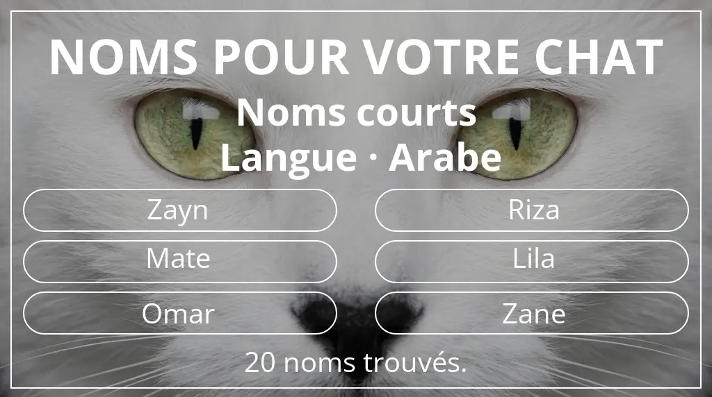 Noms pour chats en lien avec longueur du nom court (2 à 4) et langue arabe