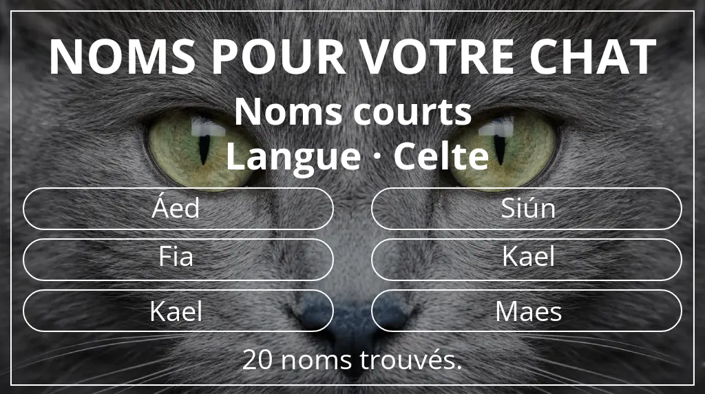 Noms pour chats en lien avec longueur du nom court (2 à 4) et langue celte