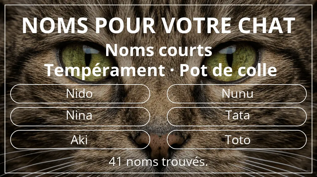 Noms de chats inspirés de longueur du nom court (2 à 4) et tempérament pot de colle