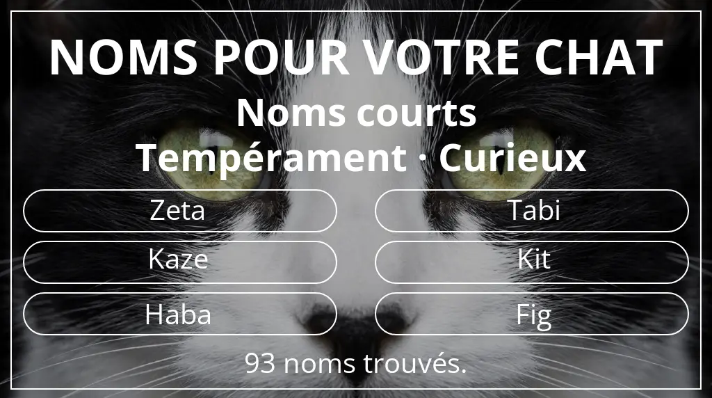Noms de chats inspirés de longueur du nom court (2 à 4) et tempérament curieux