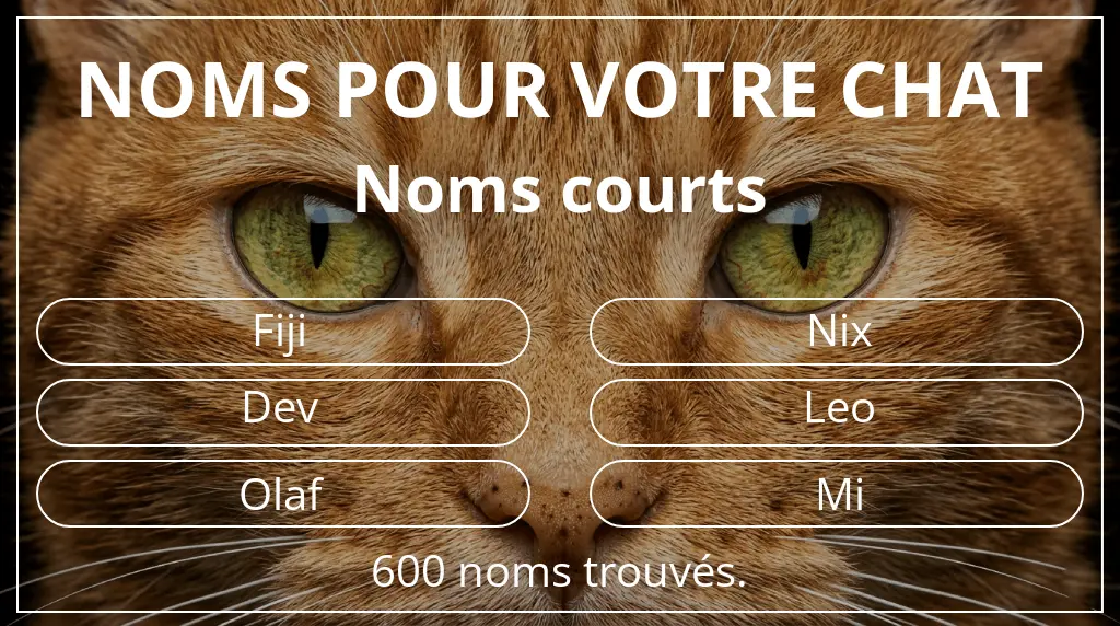 Noms pour chats inspirés de longueur du nom court (2 à 4)