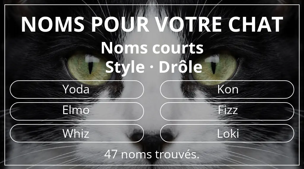 Noms félins inspirés de longueur du nom court (2 à 4) et style drôle