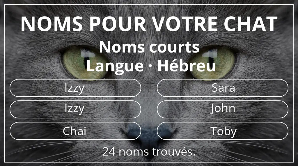 Noms pour chats inspirés de longueur du nom court (2 à 4) et langue hébreu