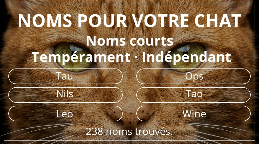 Noms de chats inspirés de longueur du nom court (2 à 4) et tempérament indépendant