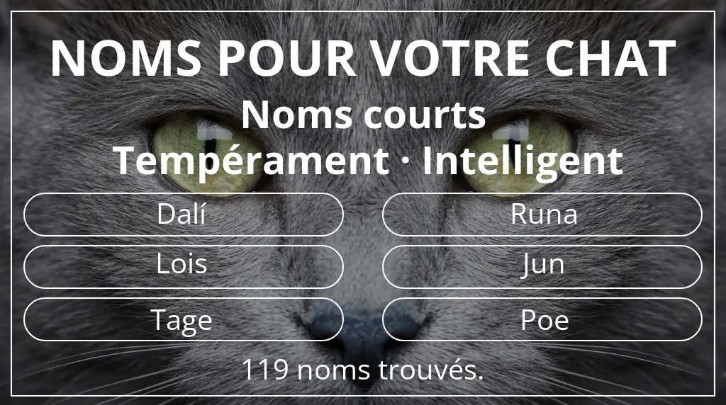 Noms de chats inspirés de longueur du nom court (2 à 4) et tempérament intelligent