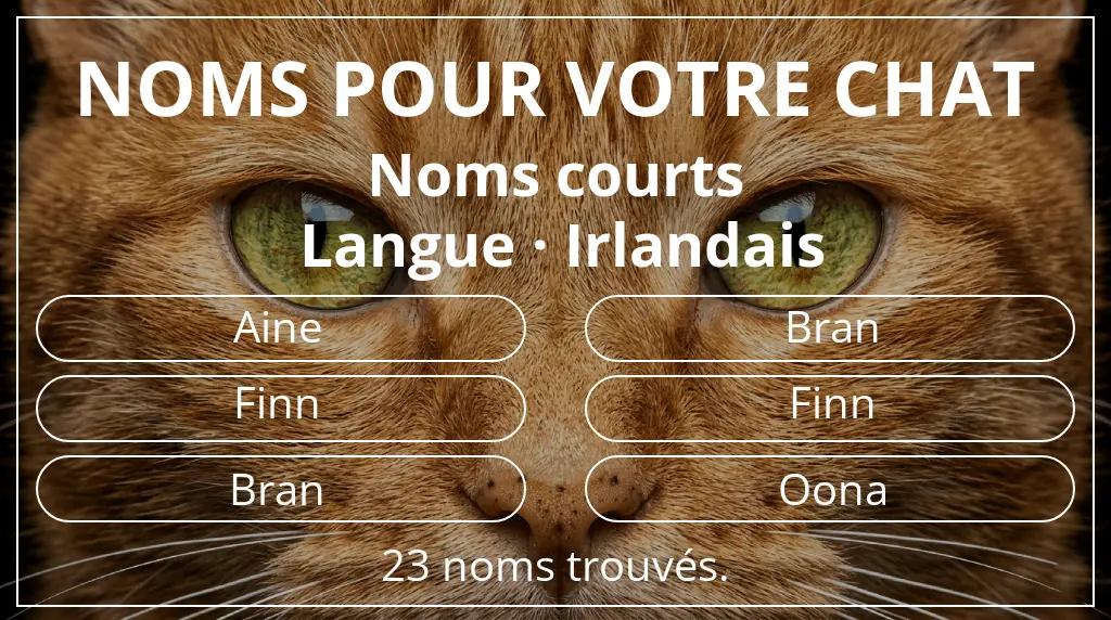 Noms pour chats inspirés de longueur du nom court (2 à 4) et langue irlandais