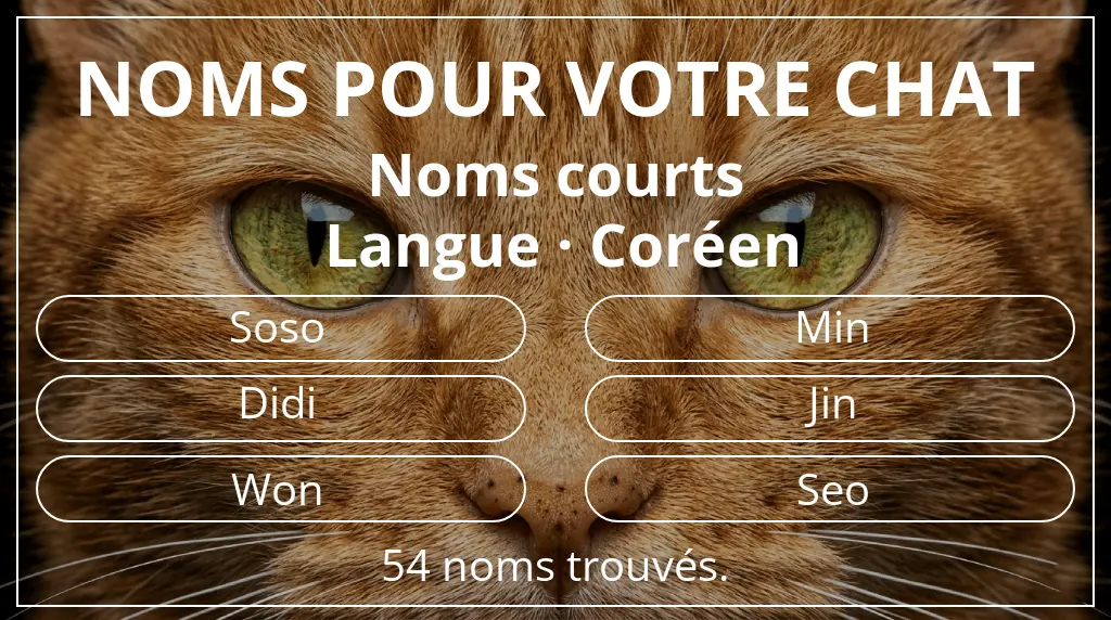Noms pour chats inspirés de longueur du nom court (2 à 4) et langue coréen