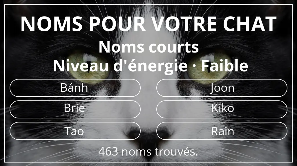 Noms félins en lien avec longueur du nom court (2 à 4) et niveau d'énergie faible