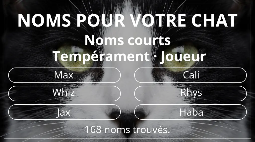 Noms pour chats en lien avec longueur du nom court (2 à 4) et tempérament joueur