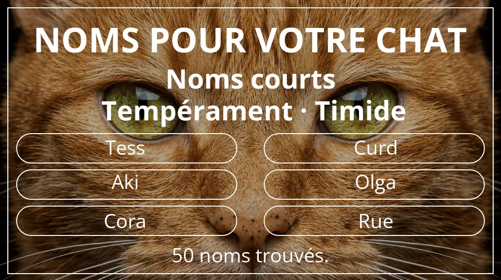 Noms de chats inspirés de longueur du nom court (2 à 4) et tempérament timide