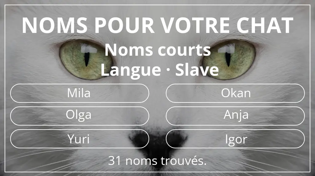 Noms pour chats en lien avec longueur du nom court (2 à 4) et langue slave