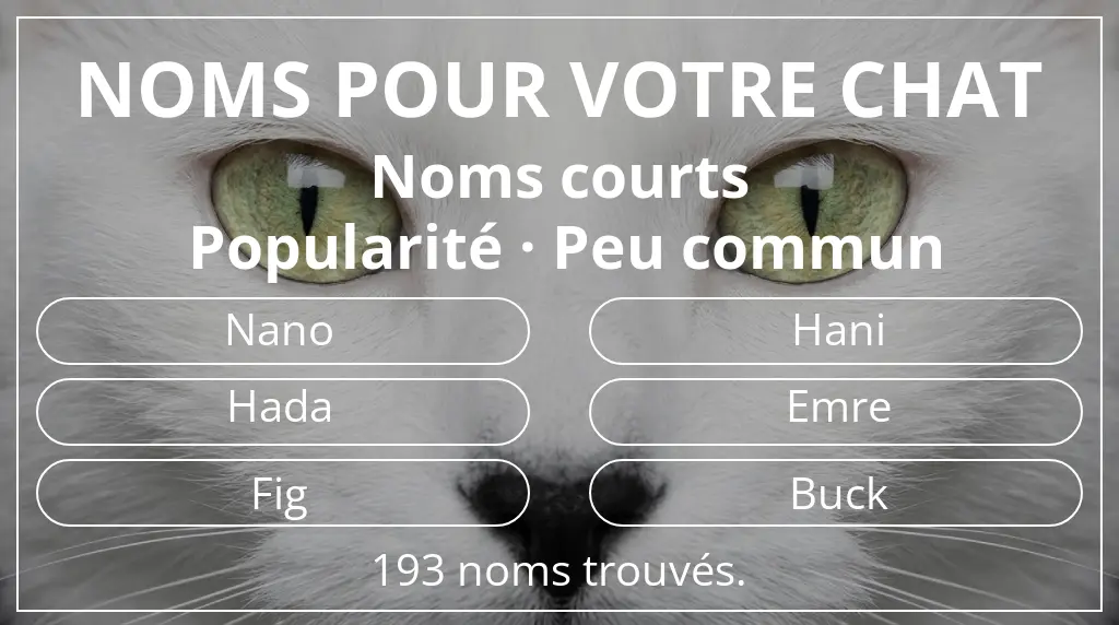 Noms félins basés sur longueur du nom court (2 à 4) et popularité peu commun