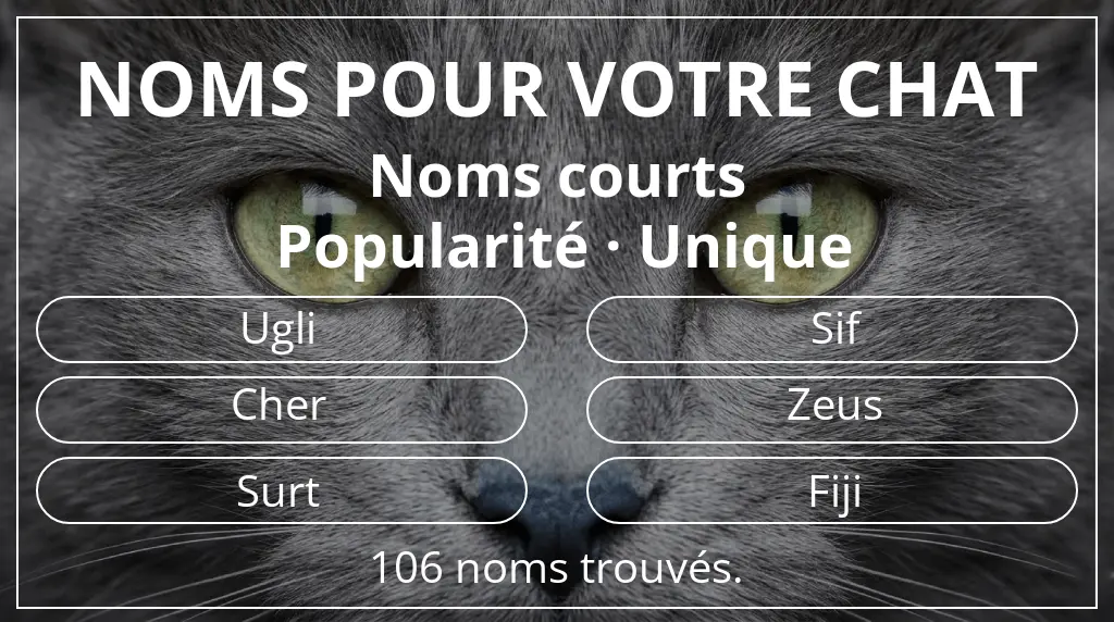Noms de chats basés sur longueur du nom court (2 à 4) et popularité unique