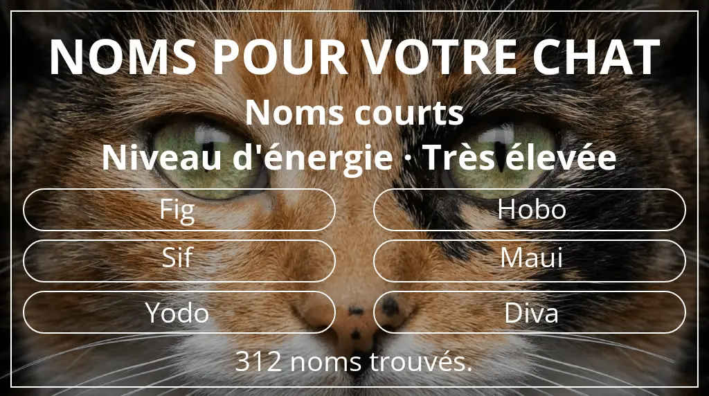 Noms de chats en lien avec longueur du nom court (2 à 4) et niveau d'énergie très élevée