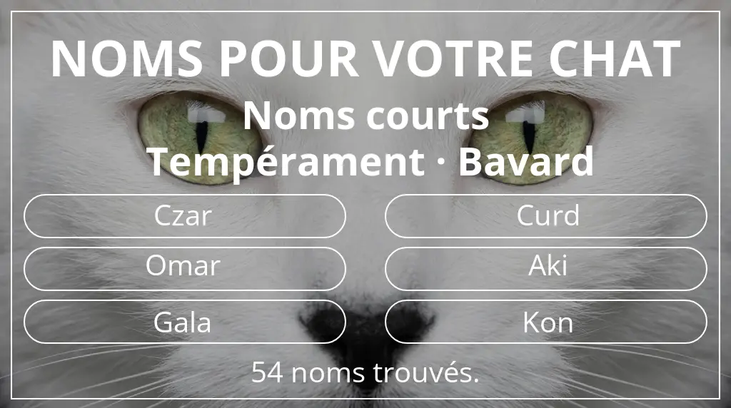 Noms de chats en lien avec longueur du nom court (2 à 4) et tempérament bavard