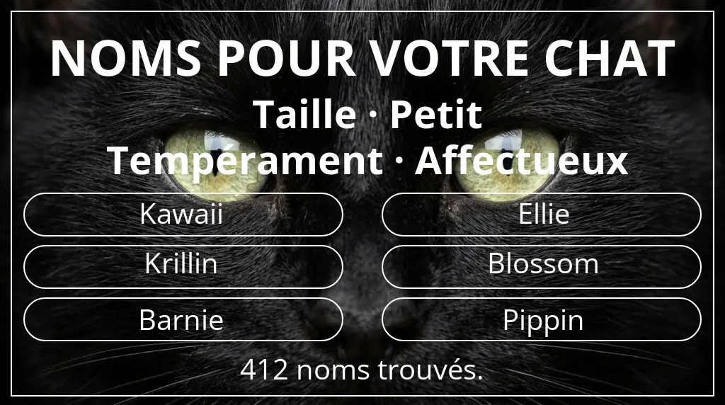 Noms félins inspirés de taille petit et tempérament affectueux