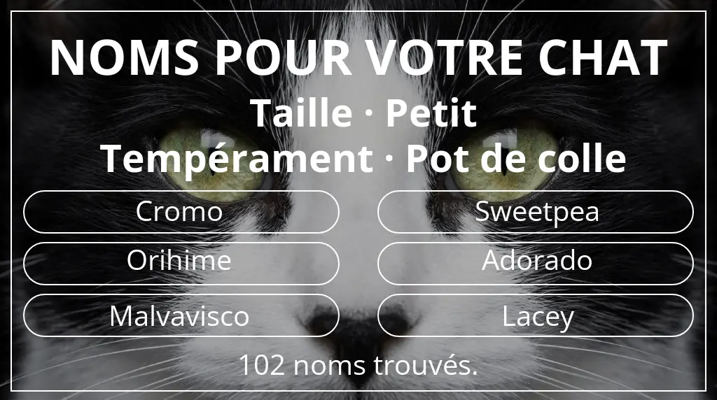 Noms pour chats basés sur taille petit et tempérament pot de colle