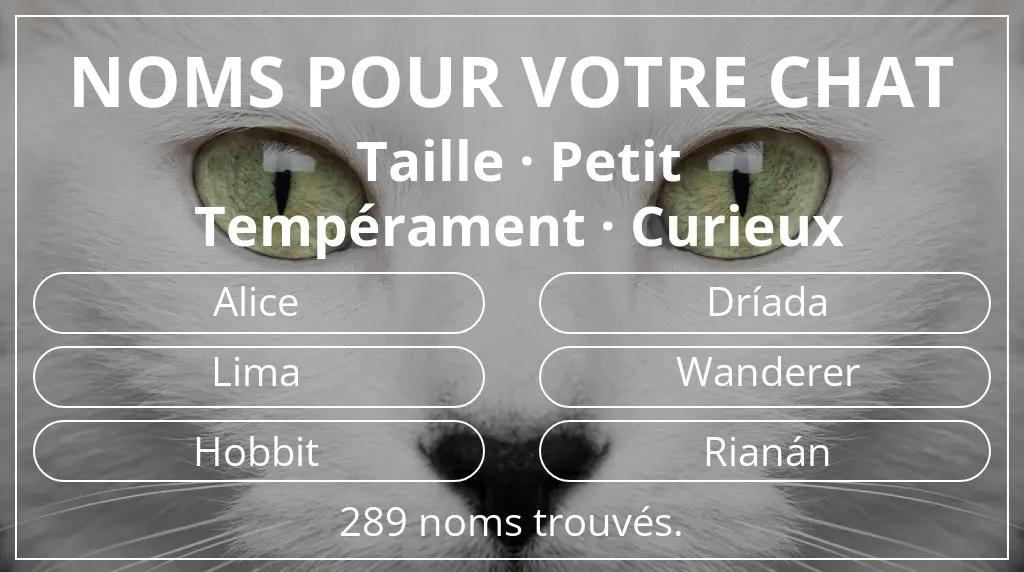 Noms de chats basés sur taille petit et tempérament curieux