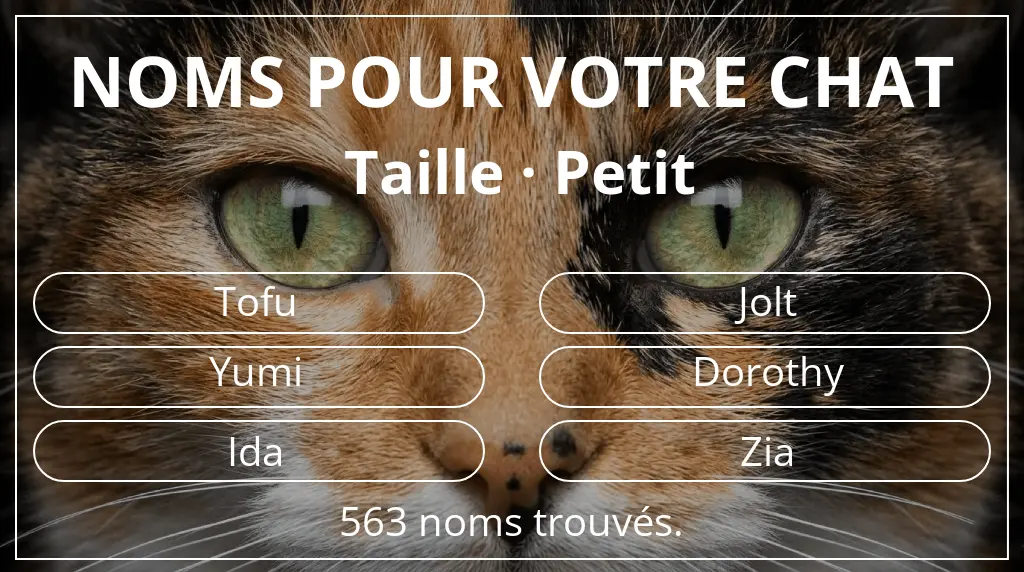Noms de chats basés sur taille petit