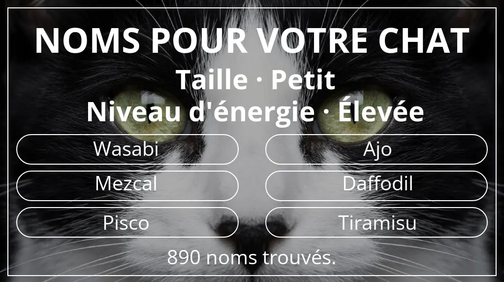 Noms félins basés sur taille petit et niveau d'énergie élevée