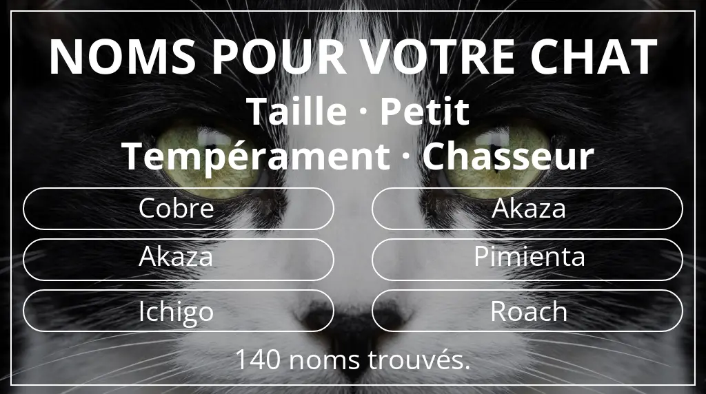 Noms pour chats en lien avec taille petit et tempérament chasseur