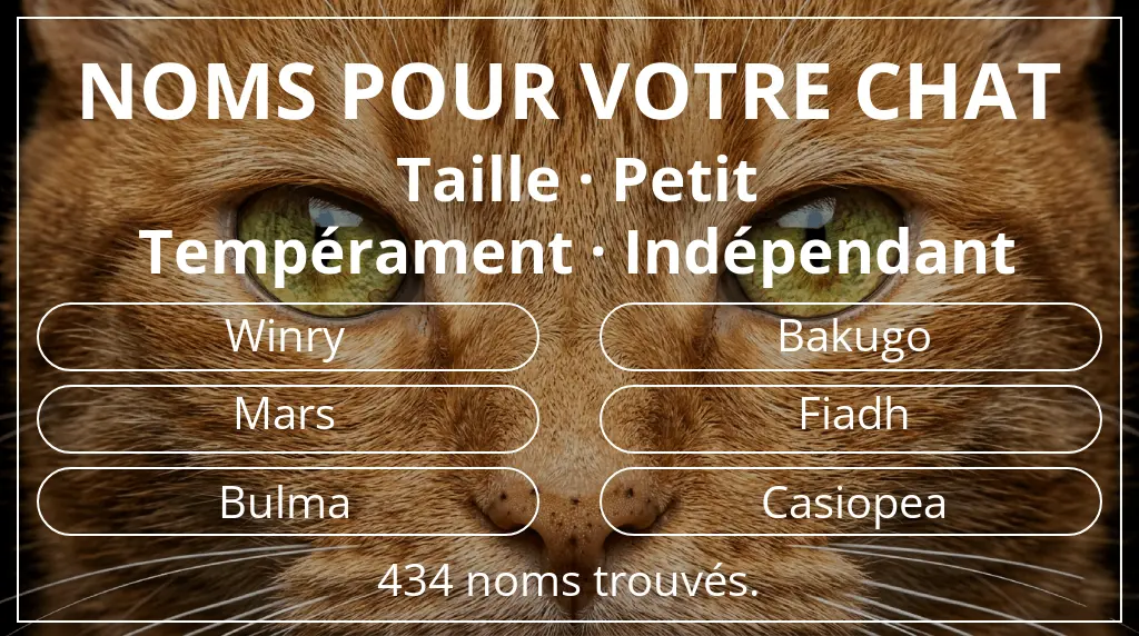 Noms félins en lien avec taille petit et tempérament indépendant