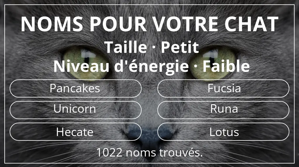 Noms félins inspirés de taille petit et niveau d'énergie faible