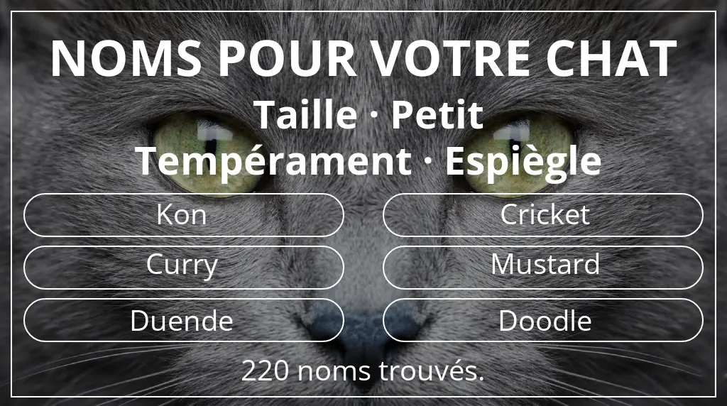Noms de chats inspirés de taille petit et tempérament espiègle