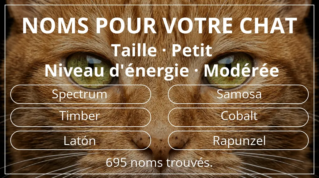 Noms félins en lien avec taille petit et niveau d'énergie modérée