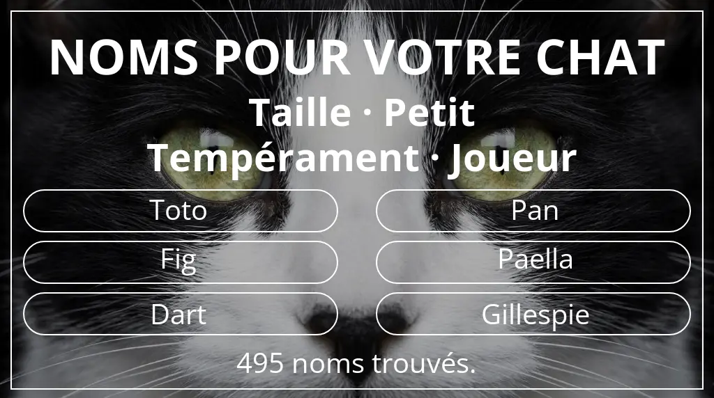Noms félins en lien avec taille petit et tempérament joueur