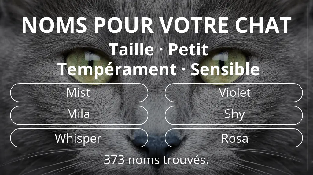 Noms félins inspirés de taille petit et tempérament sensible