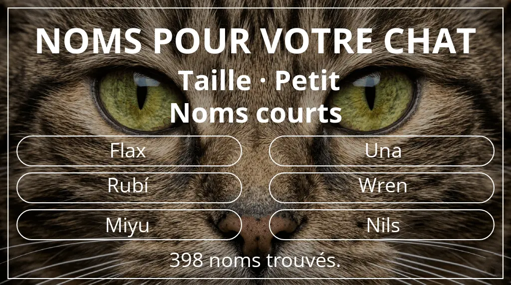 Noms de chats inspirés de taille petit et longueur du nom court (2 à 4)