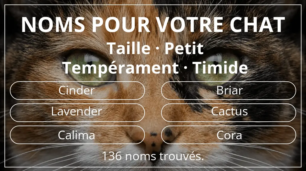 Noms félins inspirés de taille petit et tempérament timide