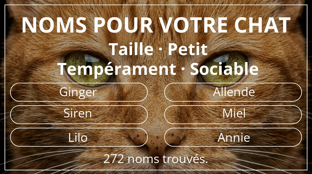 Noms de chats inspirés de taille petit et tempérament sociable