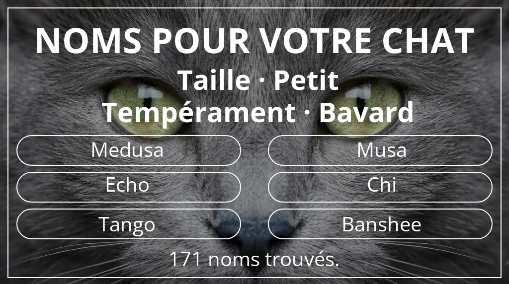 Noms félins inspirés de taille petit et tempérament bavard