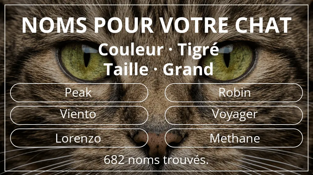 Noms pour chats en lien avec couleur tigré et taille grand