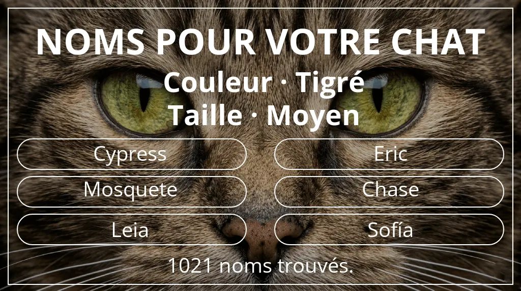Noms félins en lien avec couleur tigré et taille moyen