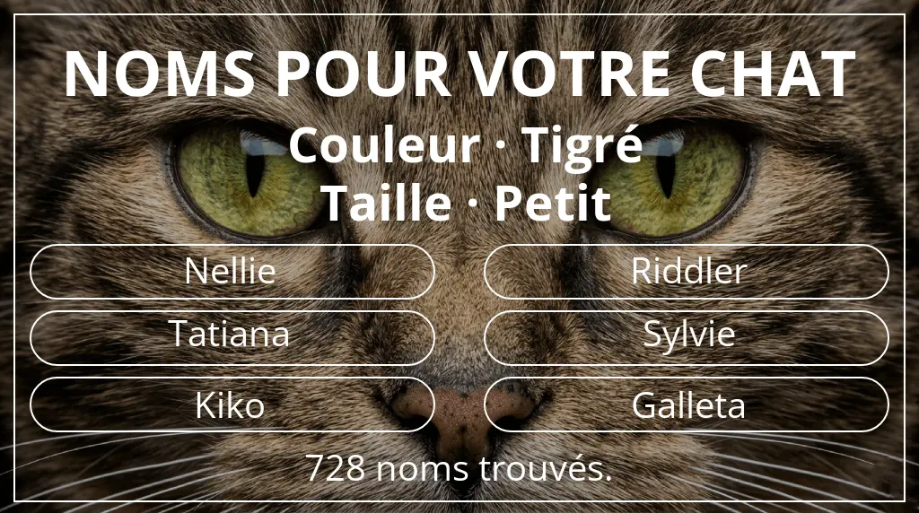 Noms pour chats inspirés de couleur tigré et taille petit