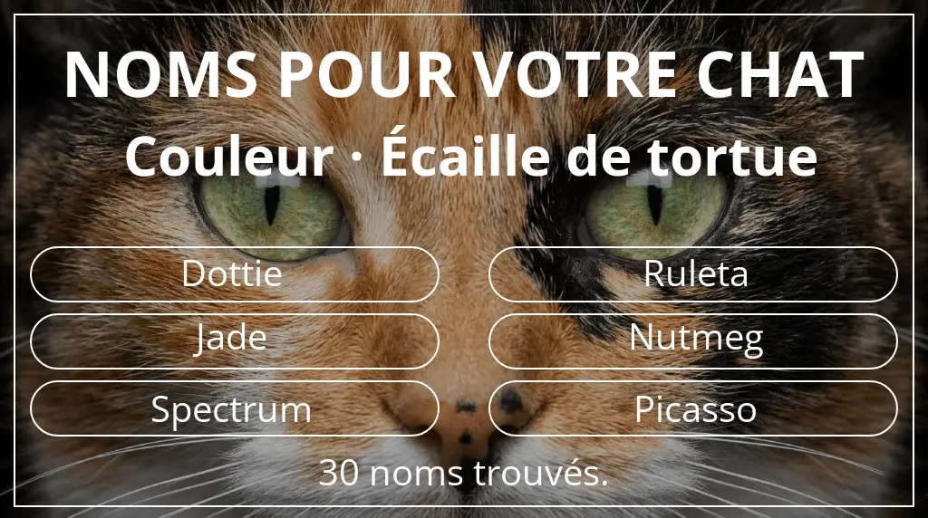 Noms félins basés sur couleur écaille de tortue