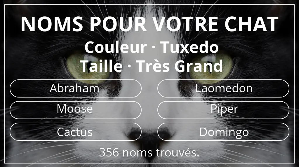 Noms félins inspirés de couleur tuxedo et taille très grand