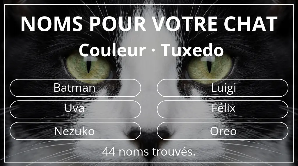 Noms pour chats inspirés de couleur tuxedo