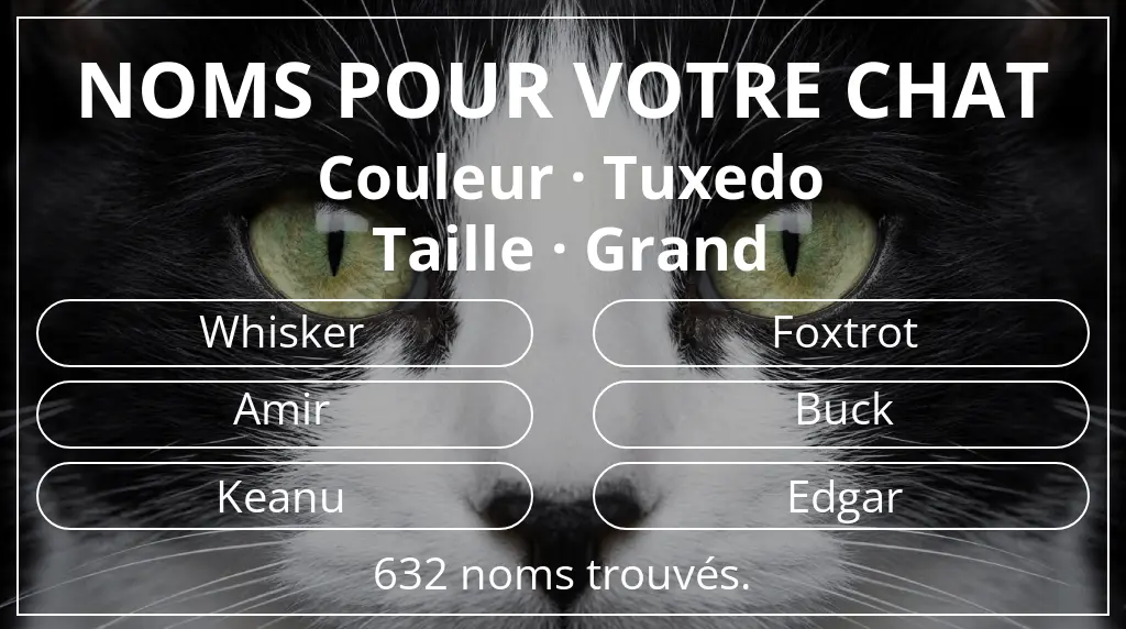 Noms félins inspirés de couleur tuxedo et taille grand