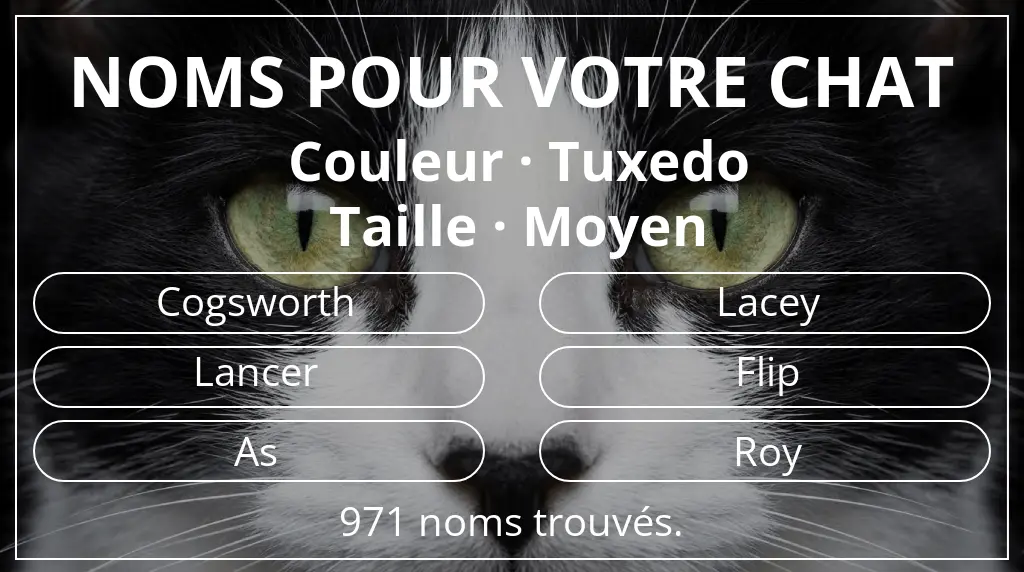 Noms pour chats inspirés de couleur tuxedo et taille moyen