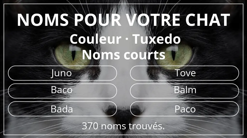 Noms pour chats basés sur couleur tuxedo et longueur du nom court (2 à 4)