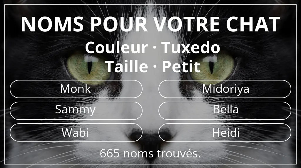 Noms félins en lien avec couleur tuxedo et taille petit