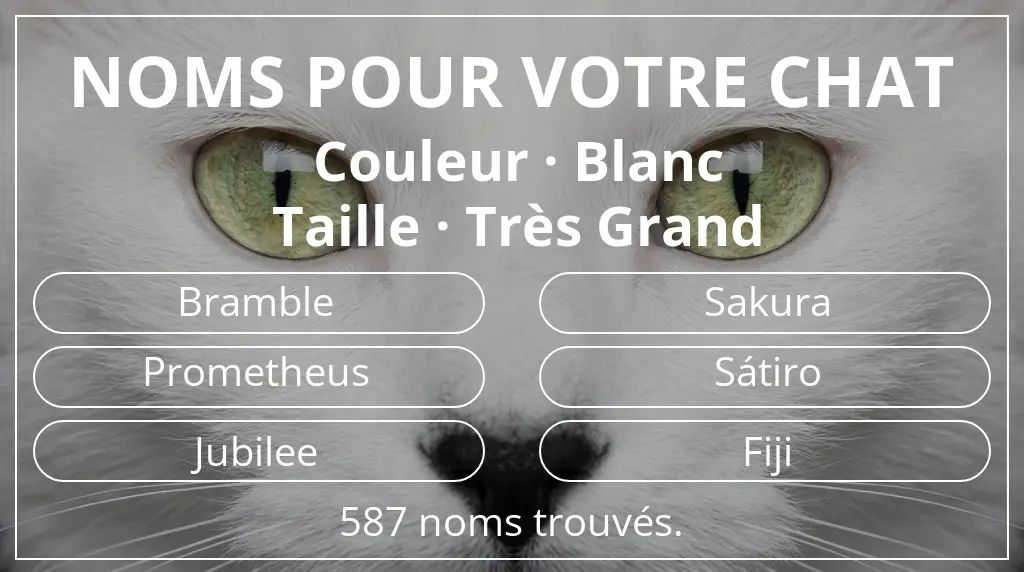 Noms de chats en lien avec couleur blanc et taille très grand