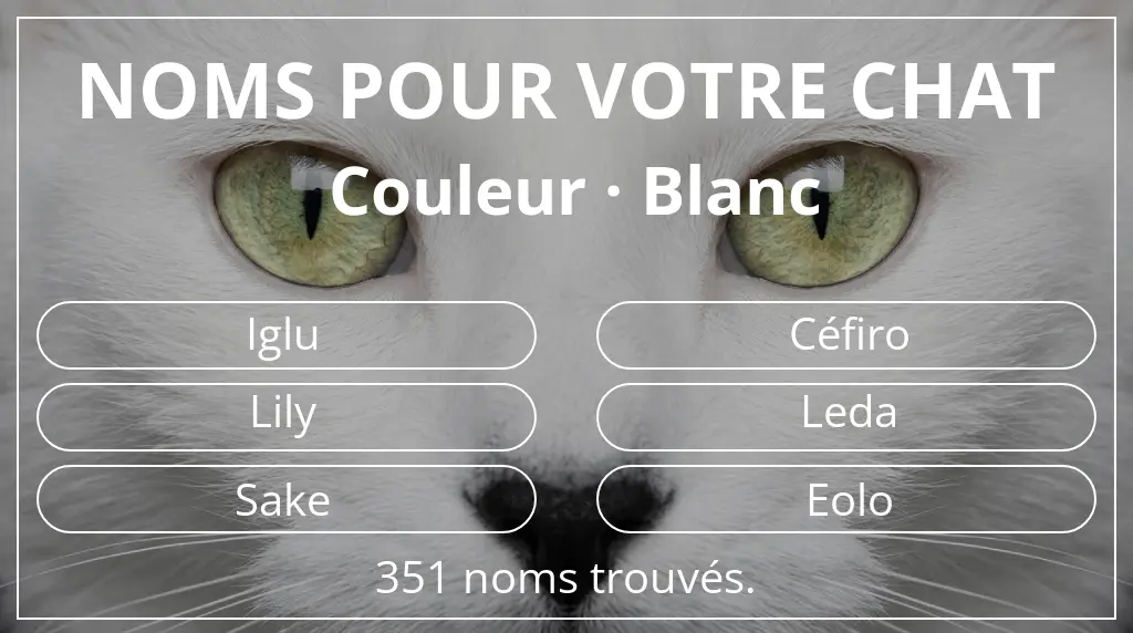 Noms félins inspirés de couleur blanc
