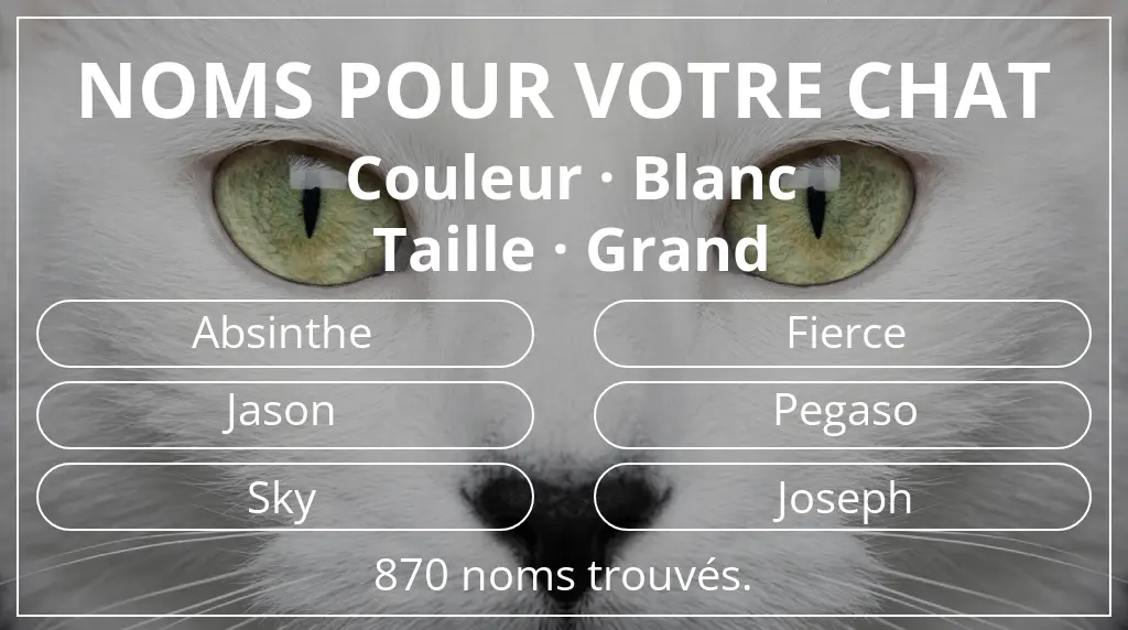 Noms pour chats inspirés de couleur blanc et taille grand