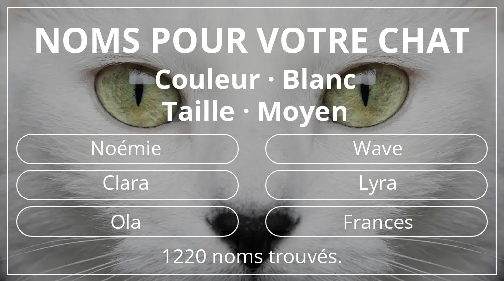 Noms de chats basés sur couleur blanc et taille moyen